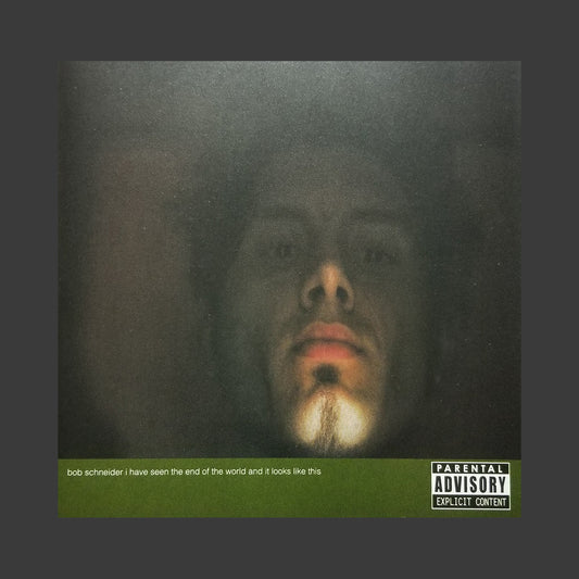 I Have Seen the End of the World and It Looks Like This CD