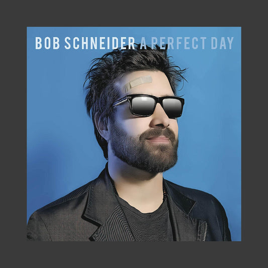 A Perfect Day CD