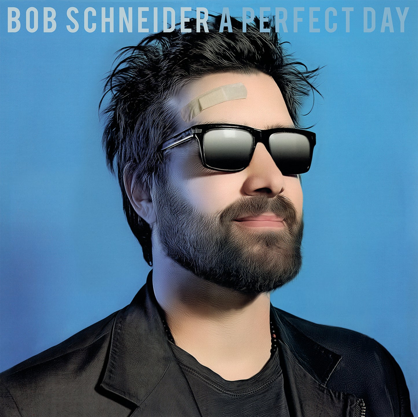 A Perfect Day - Remastered and Re-released